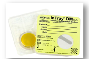 InTray ™ DM (Dermatophyte Fungi)